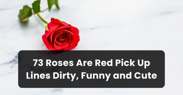 Roses Are Red Pick Up Lines Dirty, Funny and Cute
