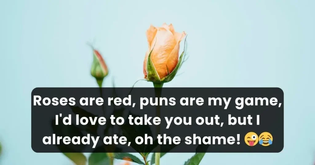 73 Roses Are Red Pick Up Lines Dirty, Funny and Cute - Witty Flirt